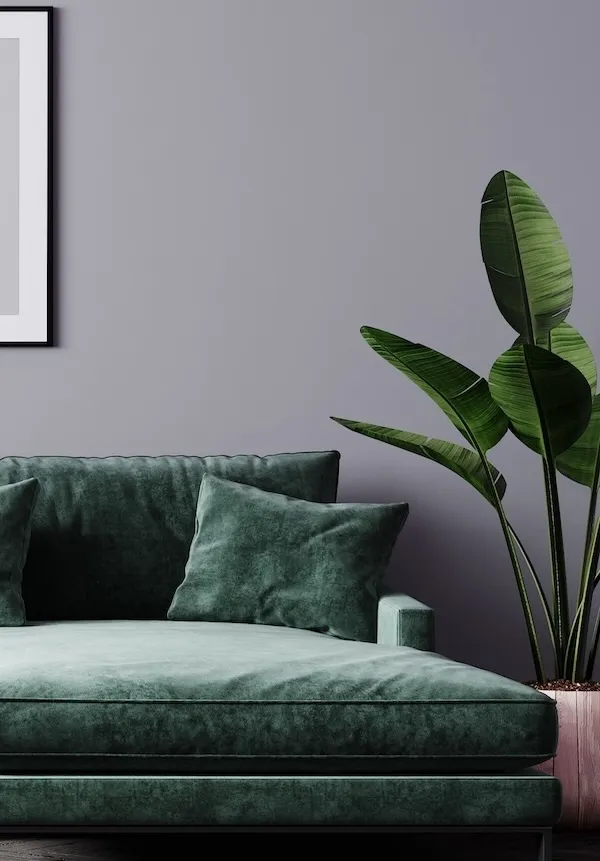 Responsive Banner Image